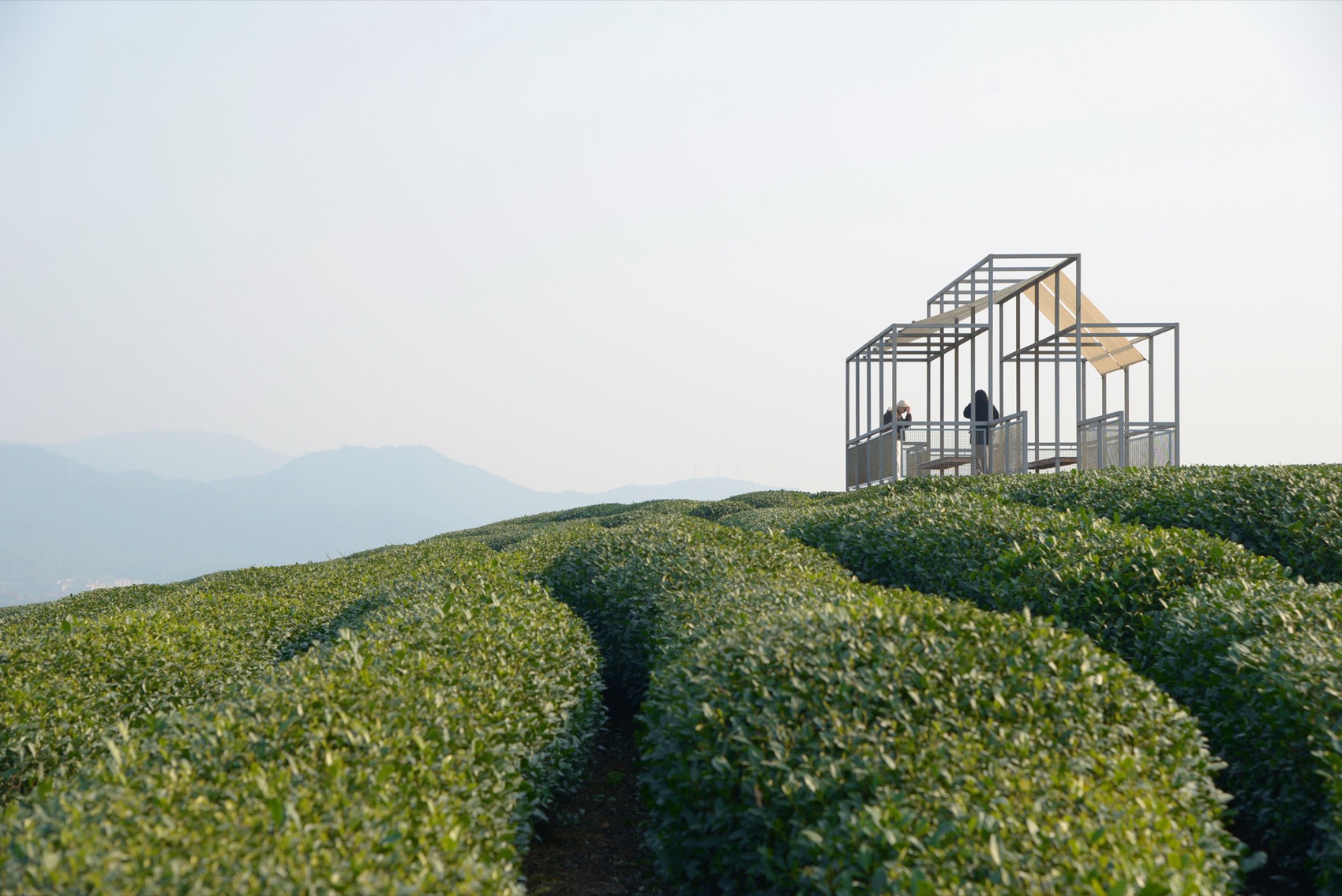 长埭村艺术乡建系列茶山浮亭丨中国杭州丨由牧建筑-34