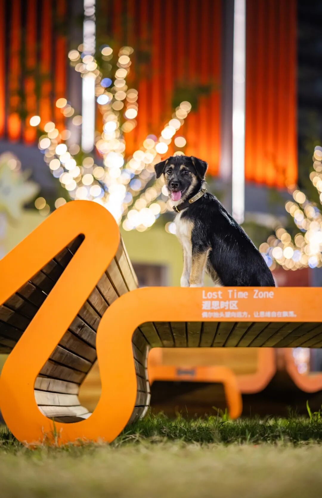 南京雨花万象天地｜场景塑造让商业空间有了生活温度-51