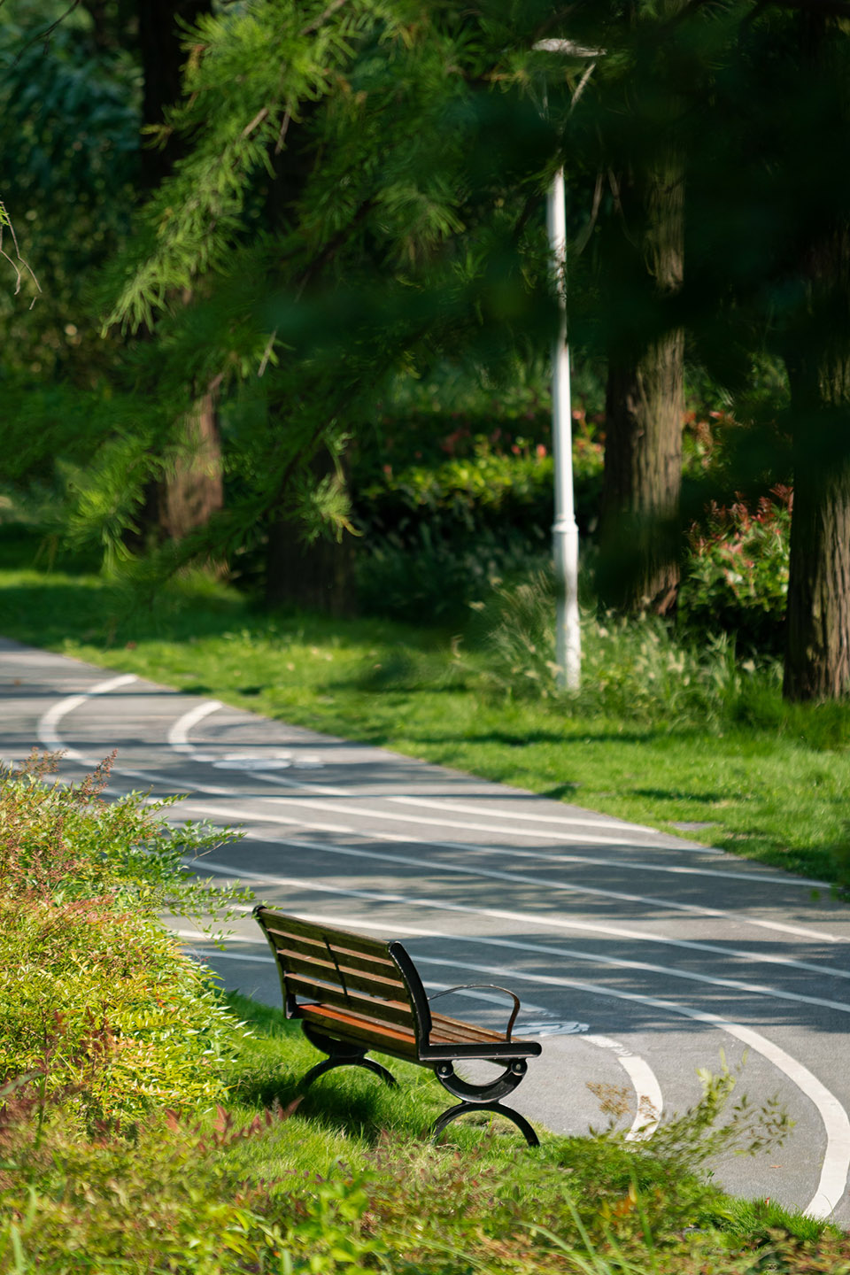 武汉华侨城D3地块南侧湿地公园-34