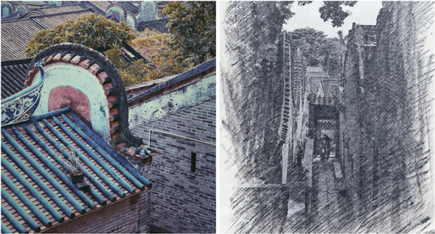 乡野构想工作坊,描绘大湾区美丽乡村蓝图-42