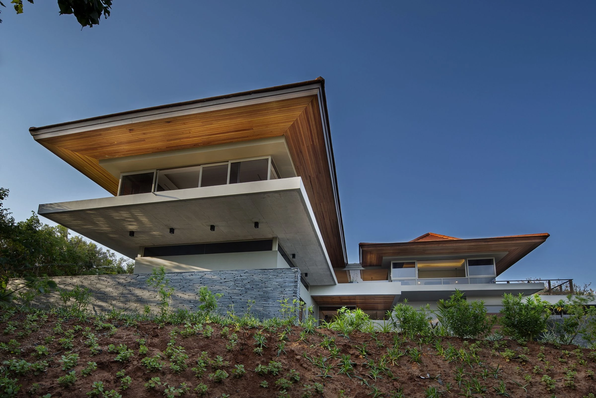 南非棕榈大道住宅的动态设计-14