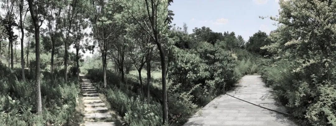 郑州荥阳融创•御栖玖里 | 自然与艺术的和谐共生-17