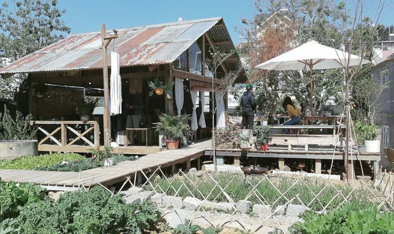 Still Café Đà Lạt – Không gian check-in mang phong cách Nhật Bản-36