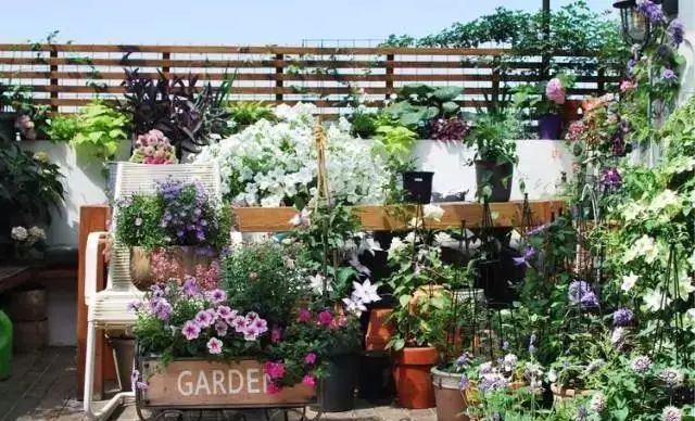 她在楼顶悄悄建了一座梦想花园，美翻了！这才是把日子过成诗的样子-17