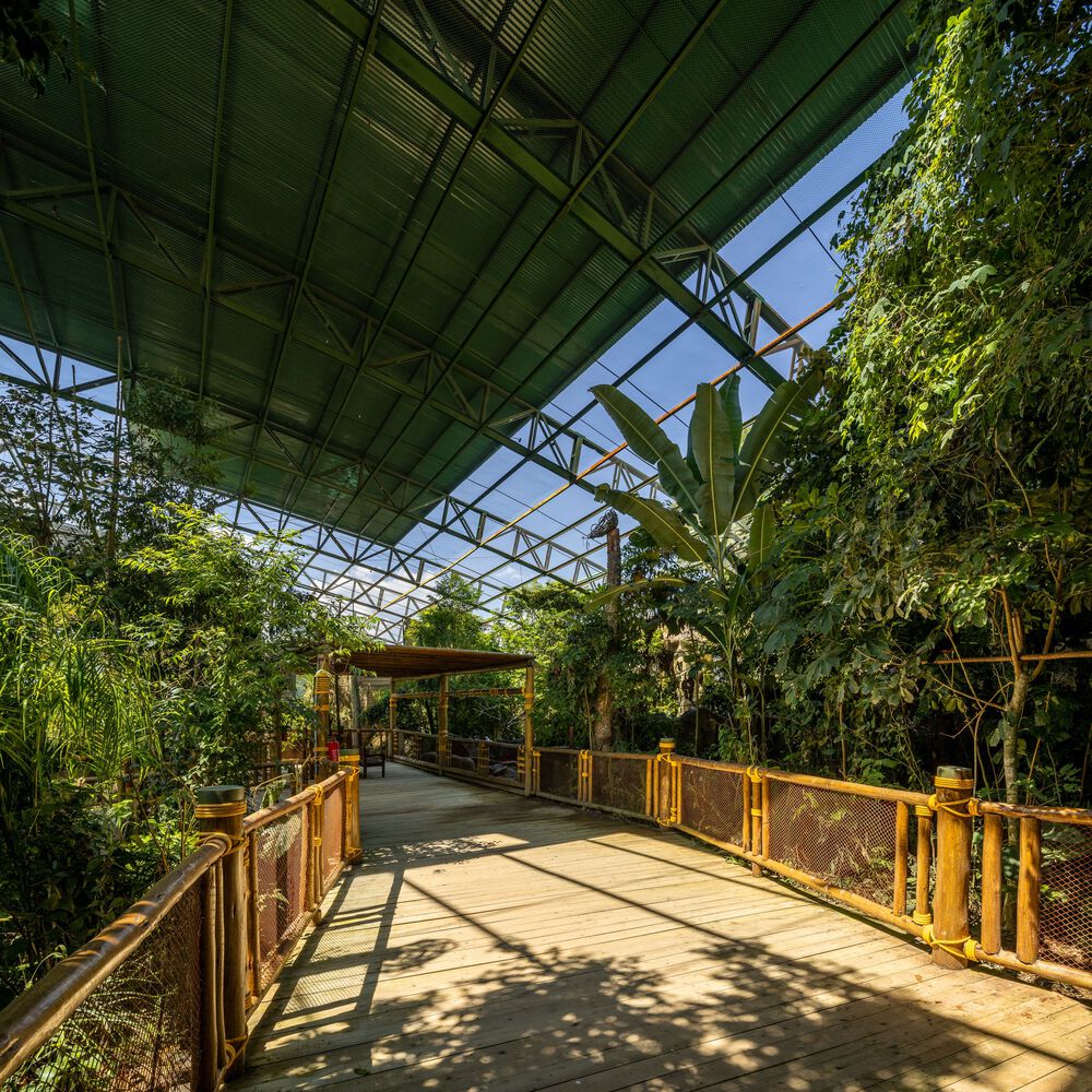 沉浸式动物园设计丨巴西圣保罗丨Alessandro Malara-48