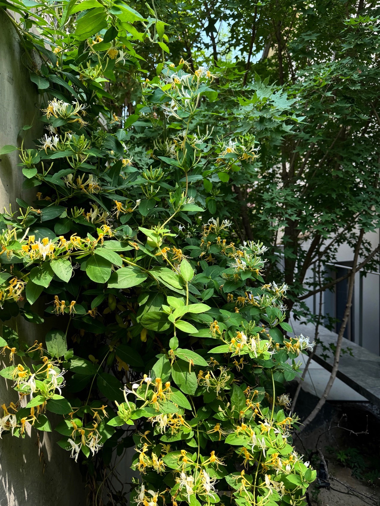 满园丨中国北京丨TAOA陶磊建筑-79