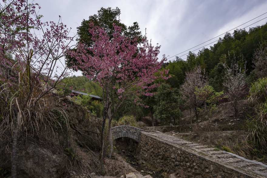 福建龙岩大和禅院扩建丨中国福建丨上海善祥建筑设计公司-36