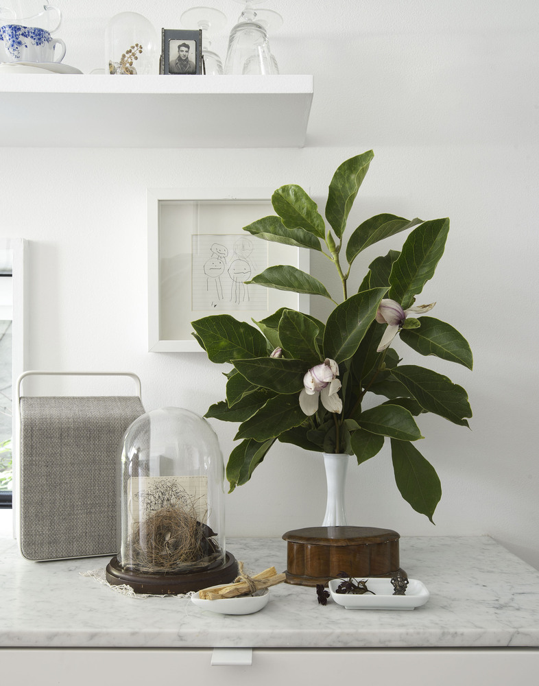 Little House. Big City  Office of Architecture-34