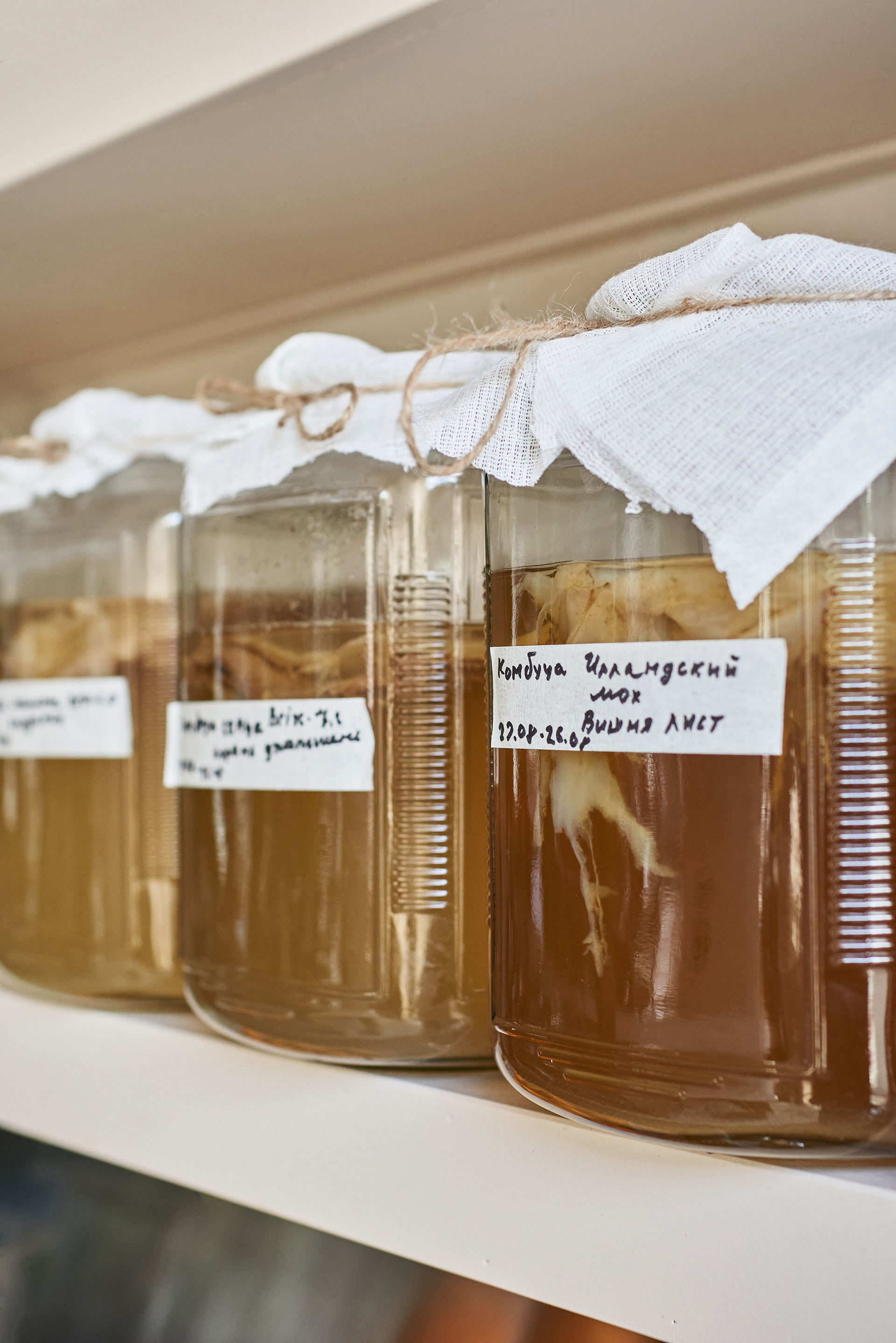 动物弹出窗口丨俄罗斯圣彼得堡丨DA Bureau-28