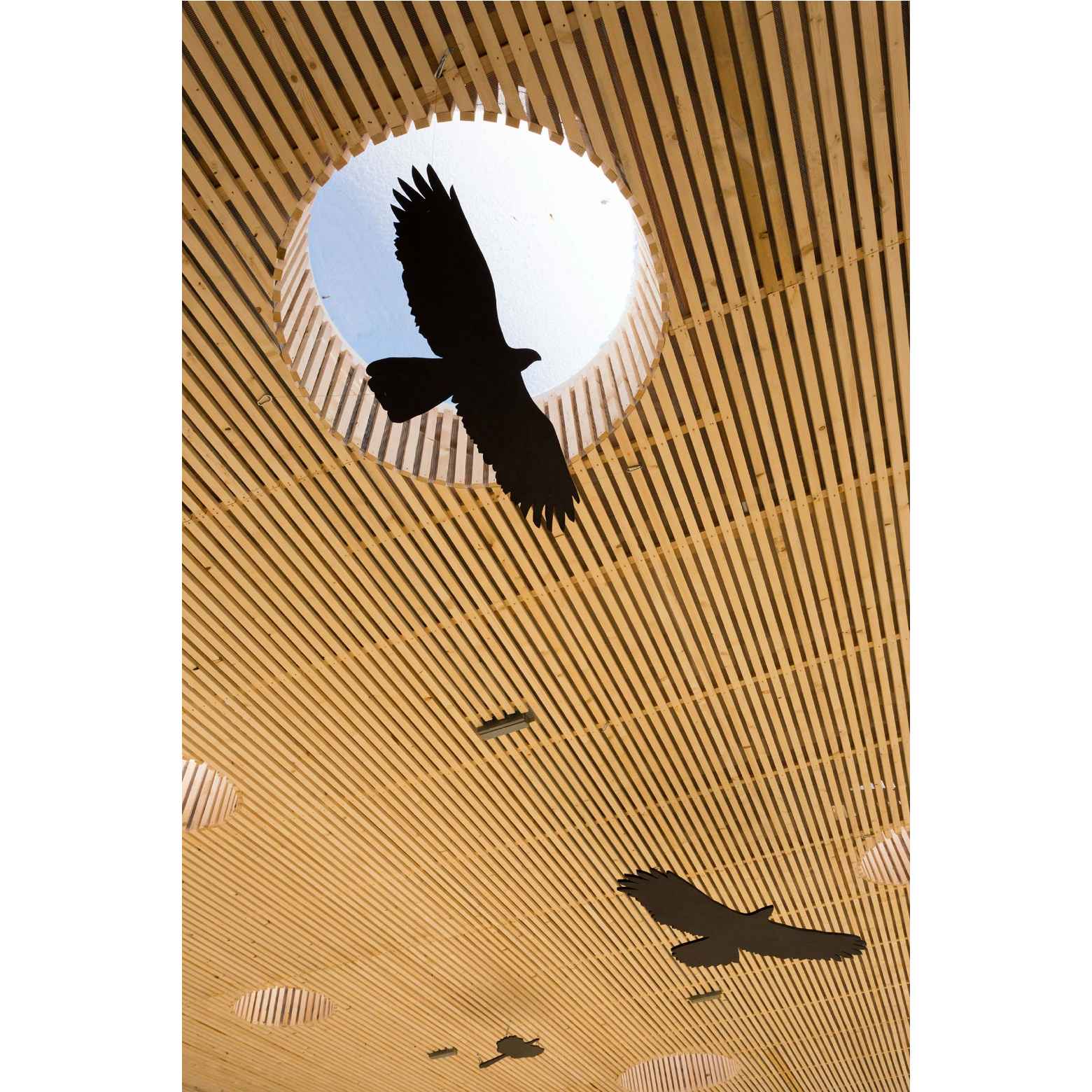 霍雷奇露天剧场屋顶项目丨卡米尔·姆尔瓦建筑师有限公司-24