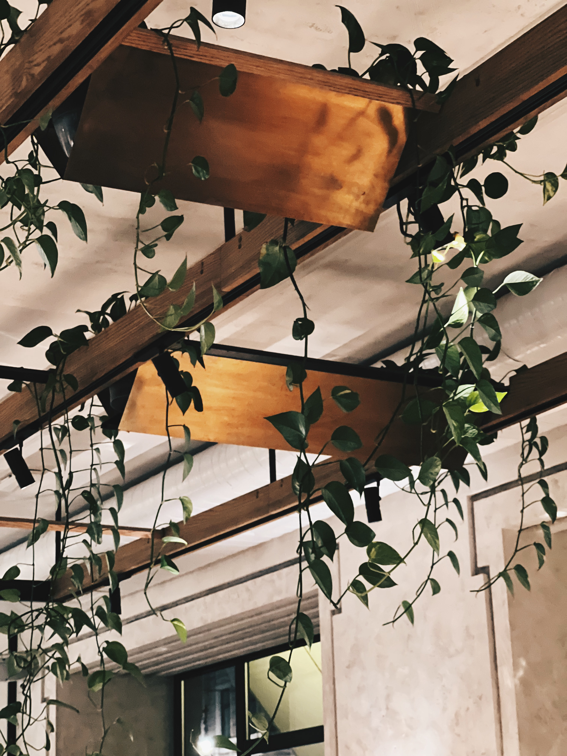 MAMA ROMA 餐厅室内设计丨俄罗斯圣彼得堡丨Anna Filippova,Polina Masiianskaia-62