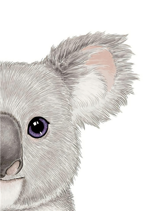 宠物元素合集 乾唐画业 软装挂画-6