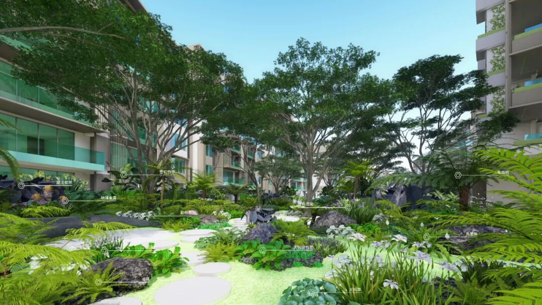 于热带秘境中编织生活美学|江东麓岛阅海澜岸2期花境项目-53