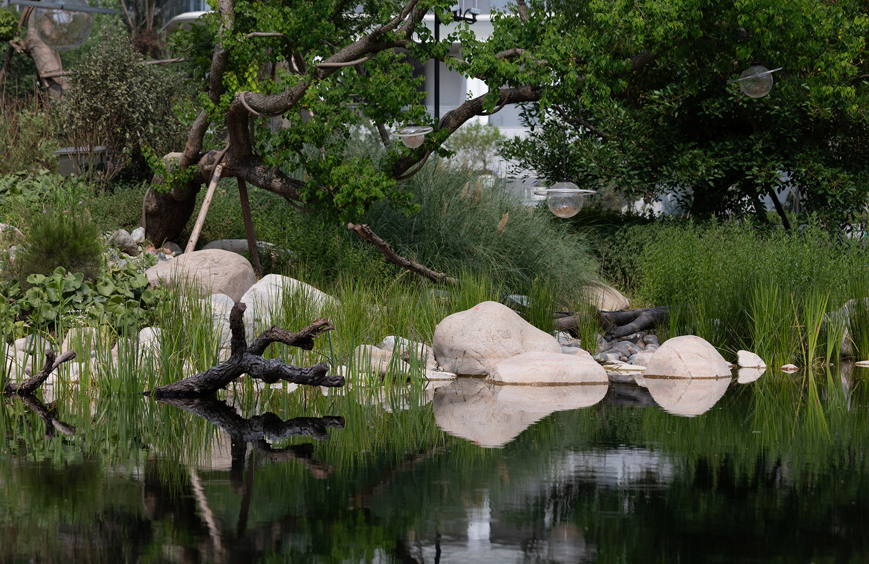 成都麓湖生态城仙踪公园丨中国成都丨WTD纬图设计-56