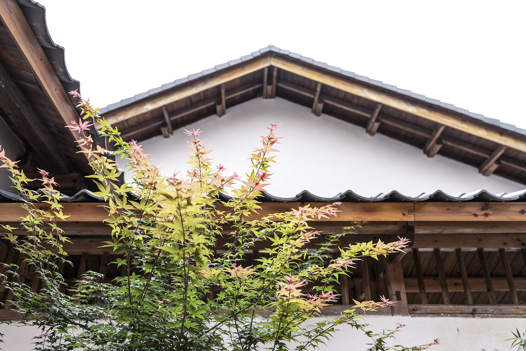 福建龙岩大和禅院扩建丨中国福建丨上海善祥建筑设计公司-116