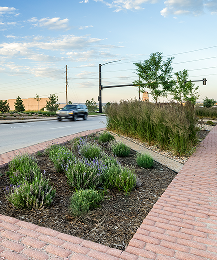 Gateway Monument Design - Castle Pines Gateway + Wayfinding Signage - DTJ Design-15