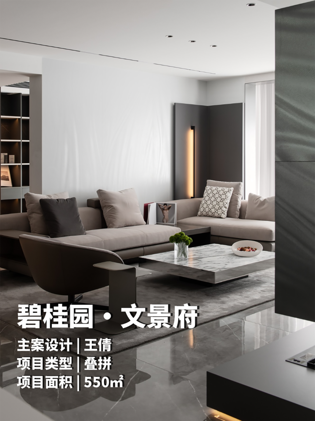 碧桂园·文景府两户打通项目-0