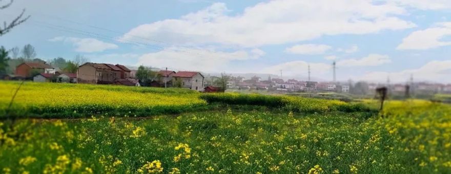 后疫情时代乡村规划的“思”与“变”-9