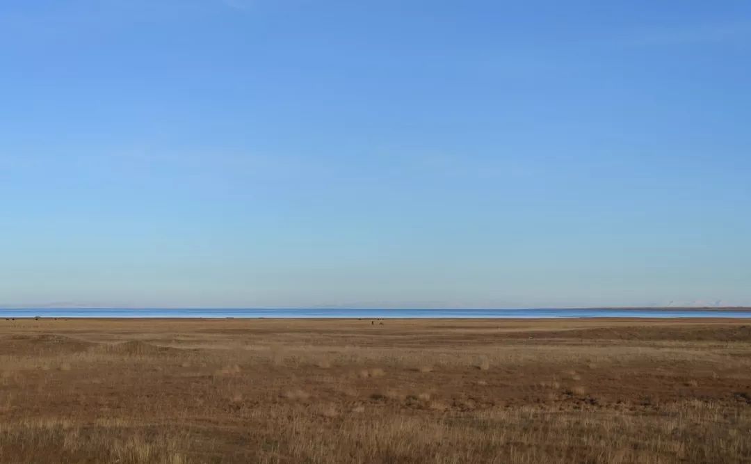 西安-- 甘肃-- 青海-- 西藏-- 云南环游之旅 | 诗和远方的田野-53