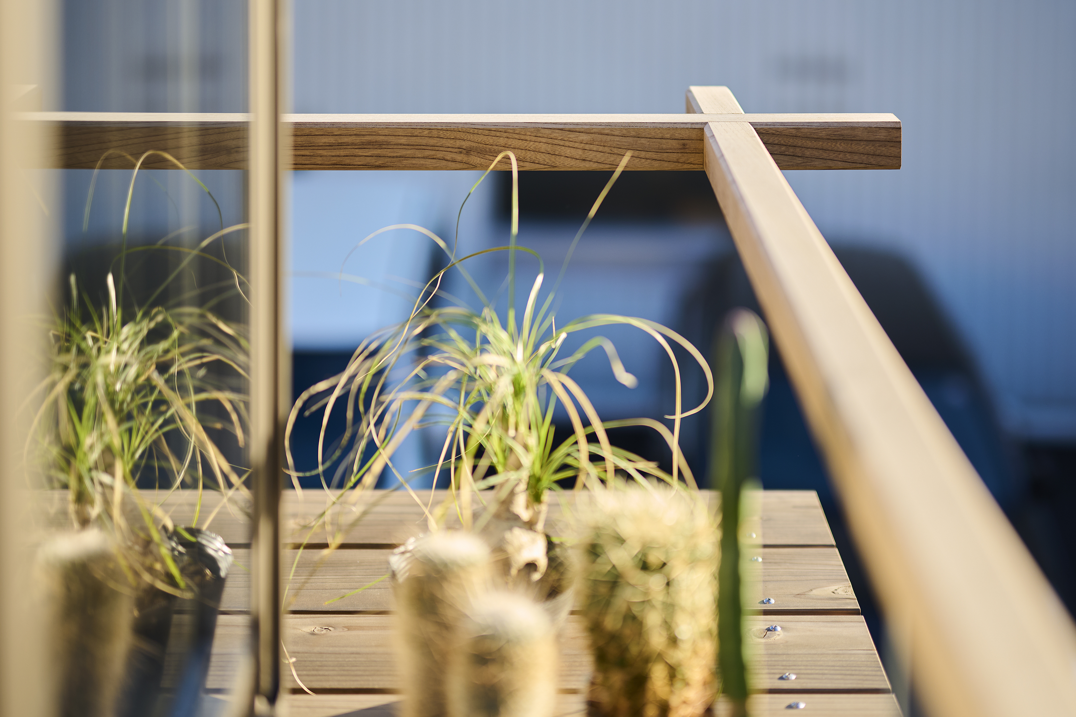 三间一尺²独立住宅丨日本丨ninkipen!-15