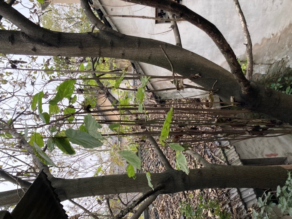 茧·酒店:湖州纺织业历史遗存的新生丨中国湖州丨九樟营造事务所-179