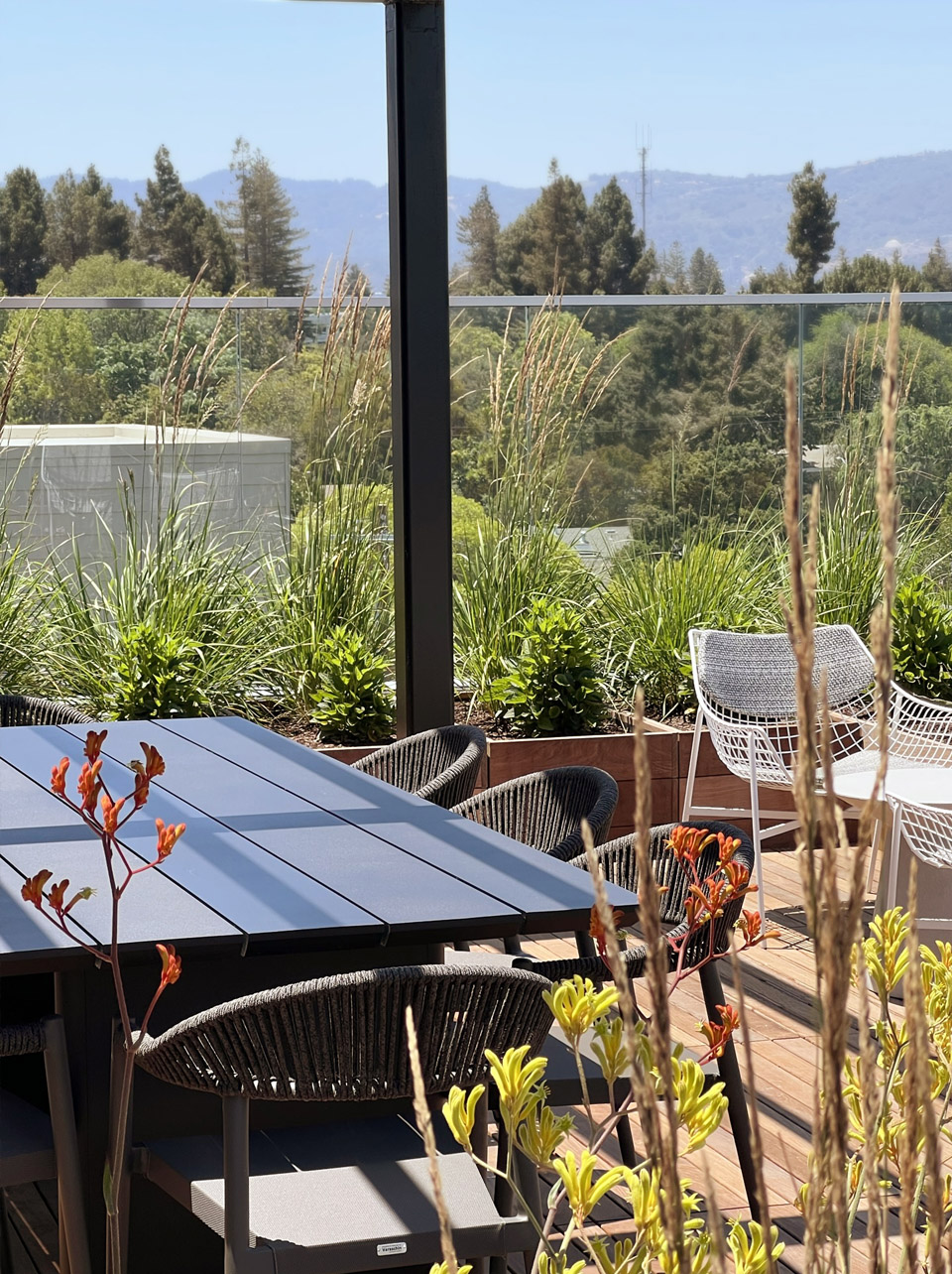 美国 Danny’s 餐厅上空的花园丨美国加利福尼亚丨Spiegel Aihara Workshop (SAW)-30