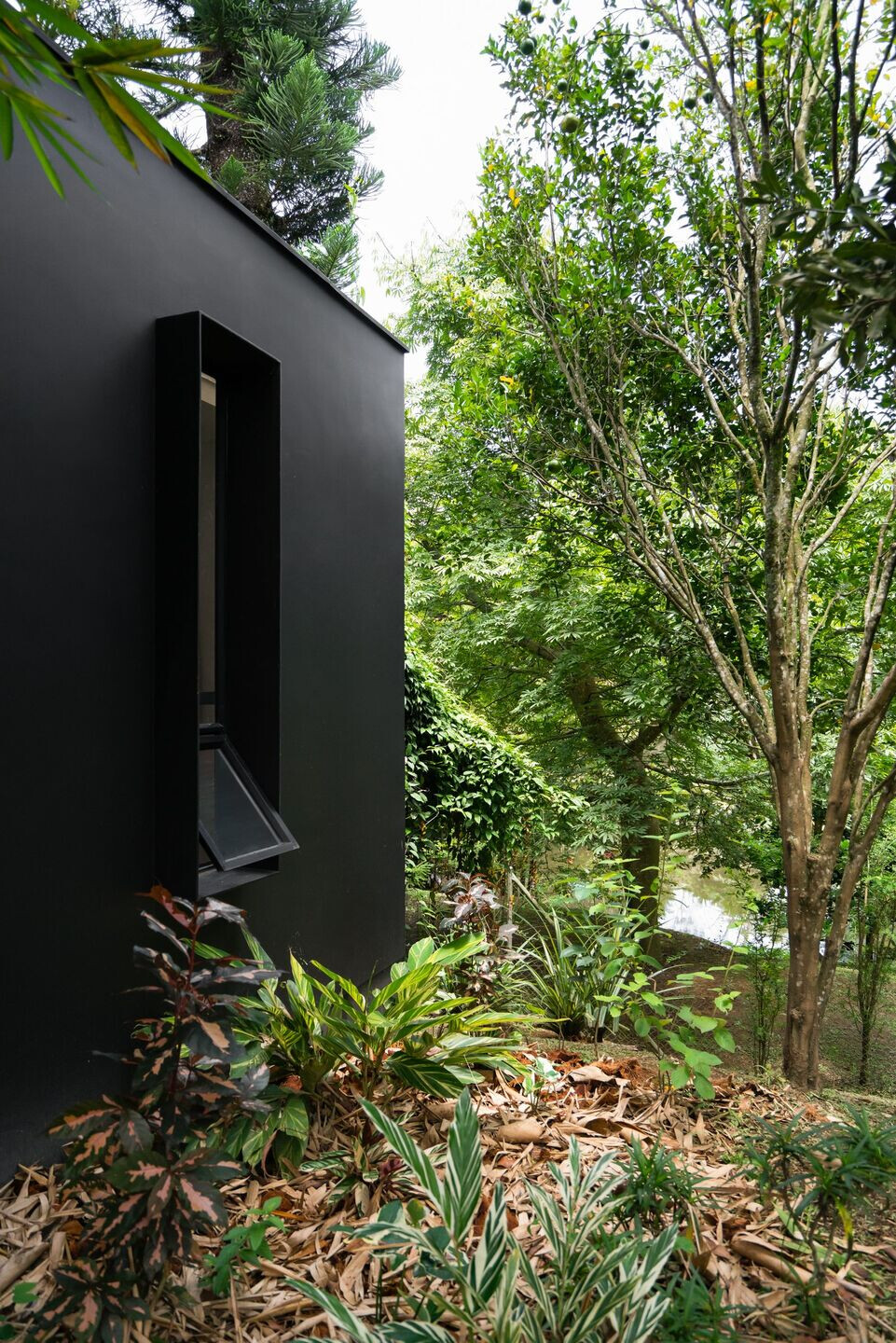 哥伦比亚湖畔木结构别墅丨esa Arquitectura-11