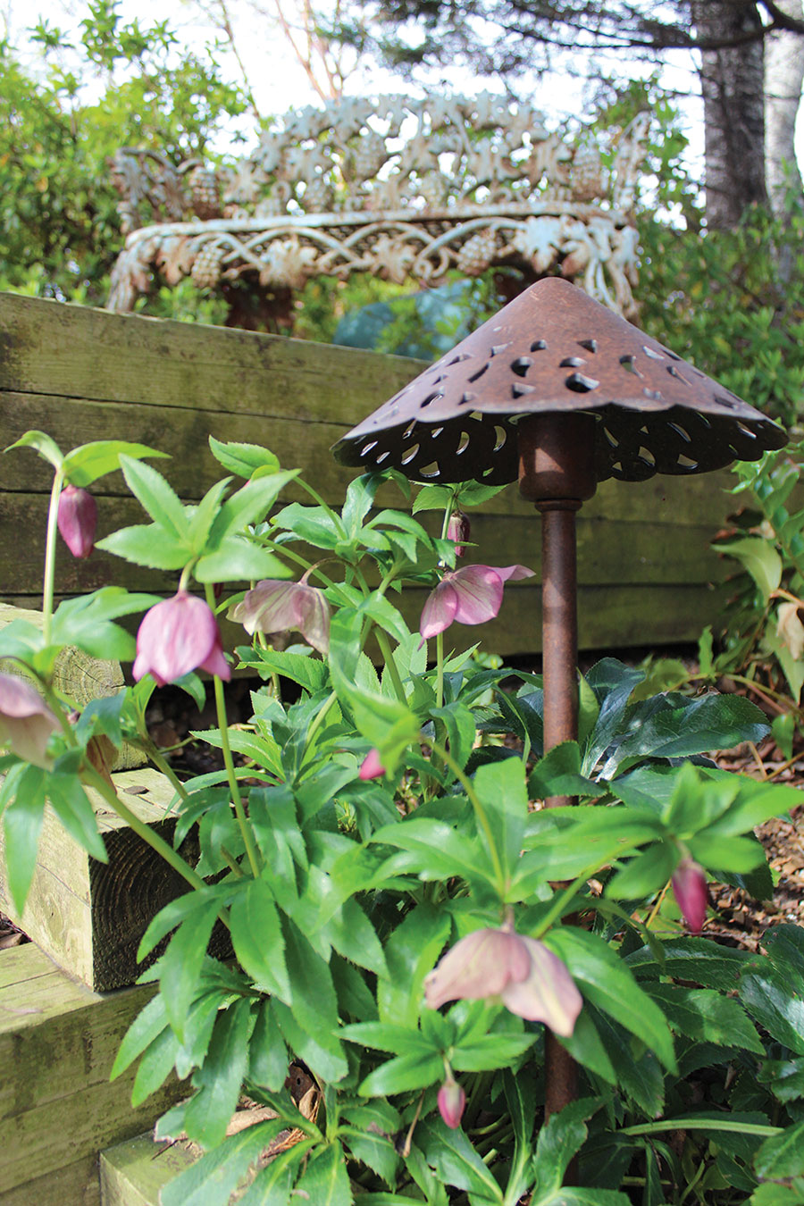 丨美国小石城-23