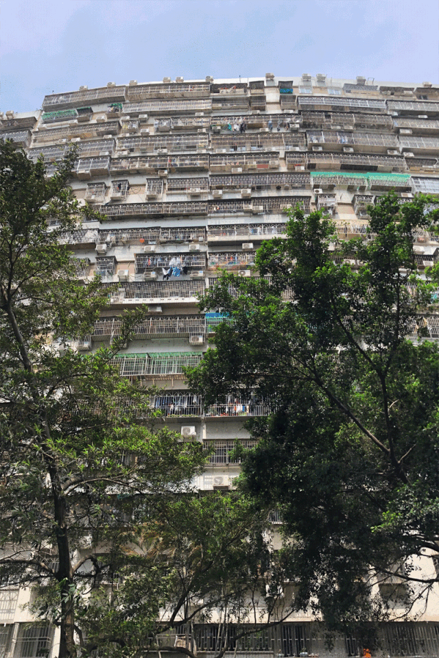 深圳学位房逆袭，100 平米三房两厅的极致改造-1