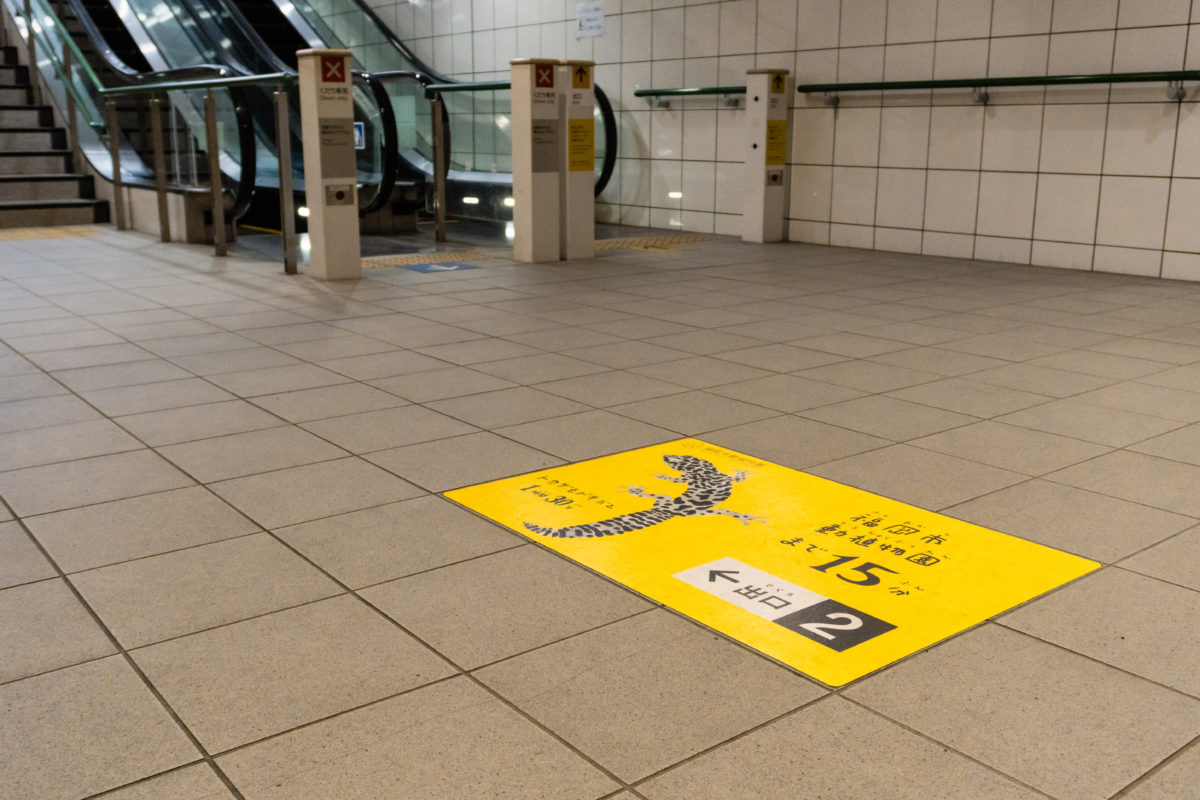 薬院大通駅  福岡市動植物園特別装飾丨anno lab-30