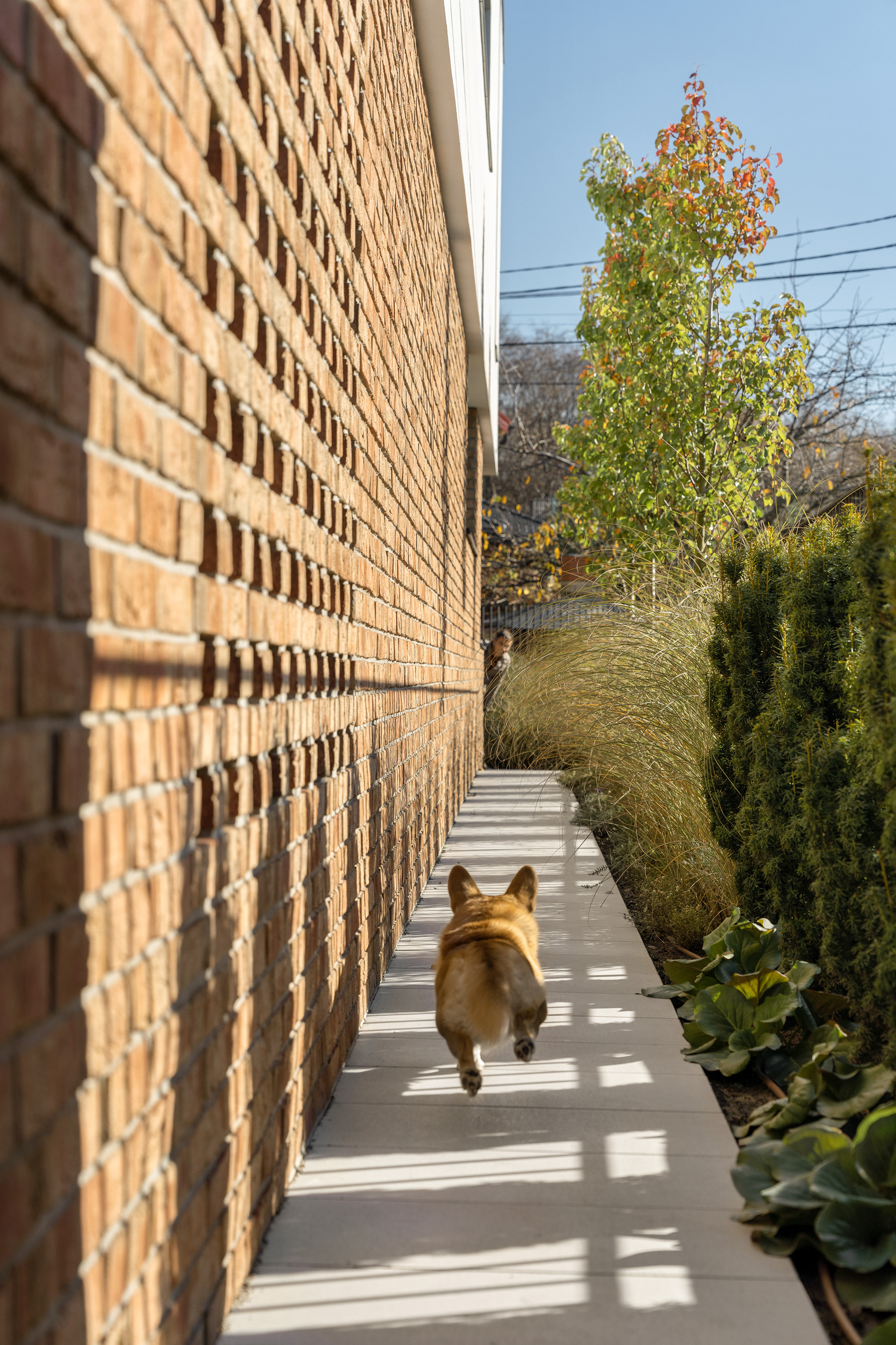 梅多瓦别墅丨乌克兰利沃夫-17