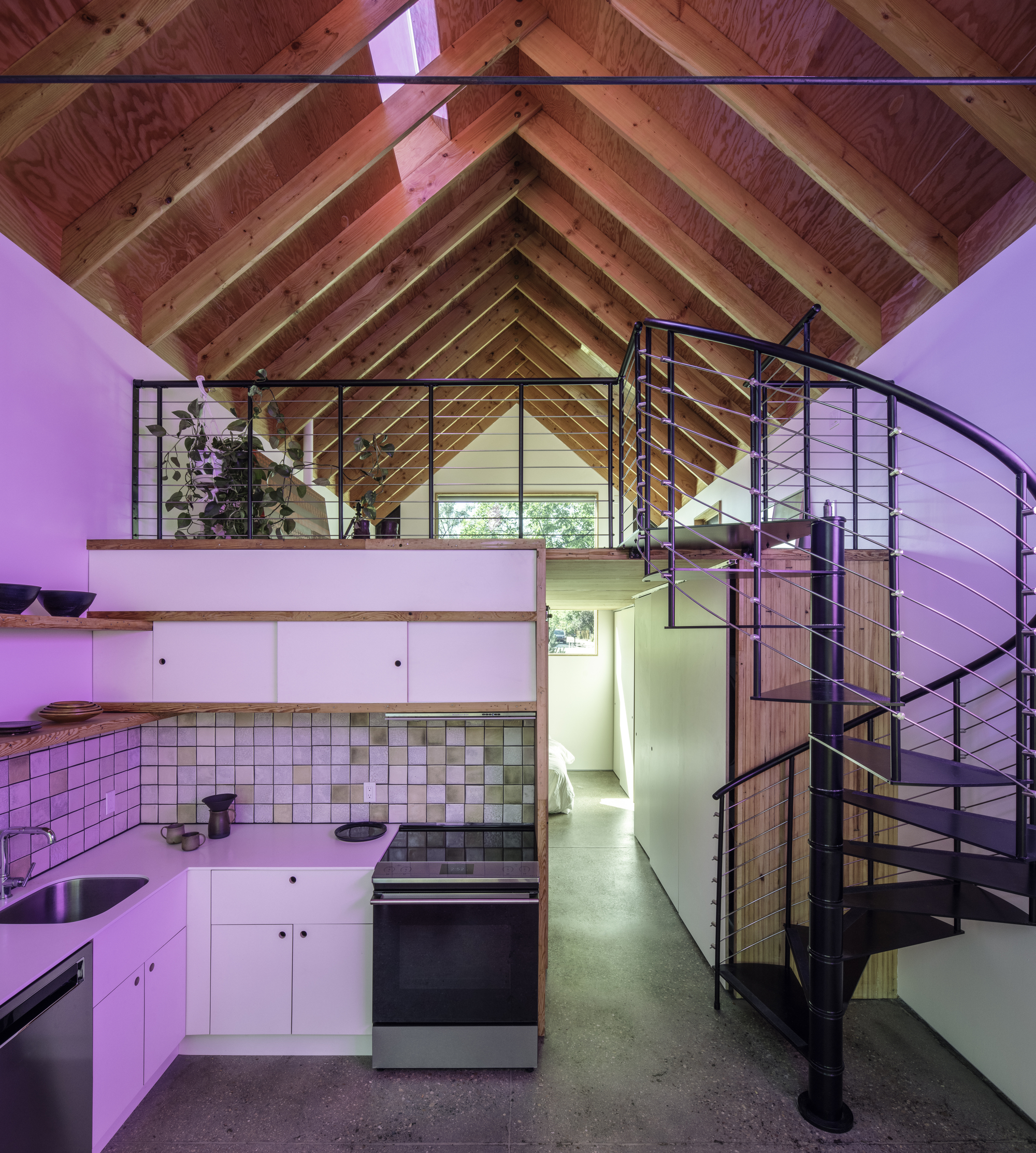 博尔德 A·D·U·丨美国博尔德丨Tres Birds-14