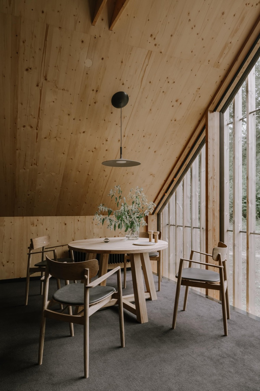 Apartments in Wolf Clearing / studio de.materia-19