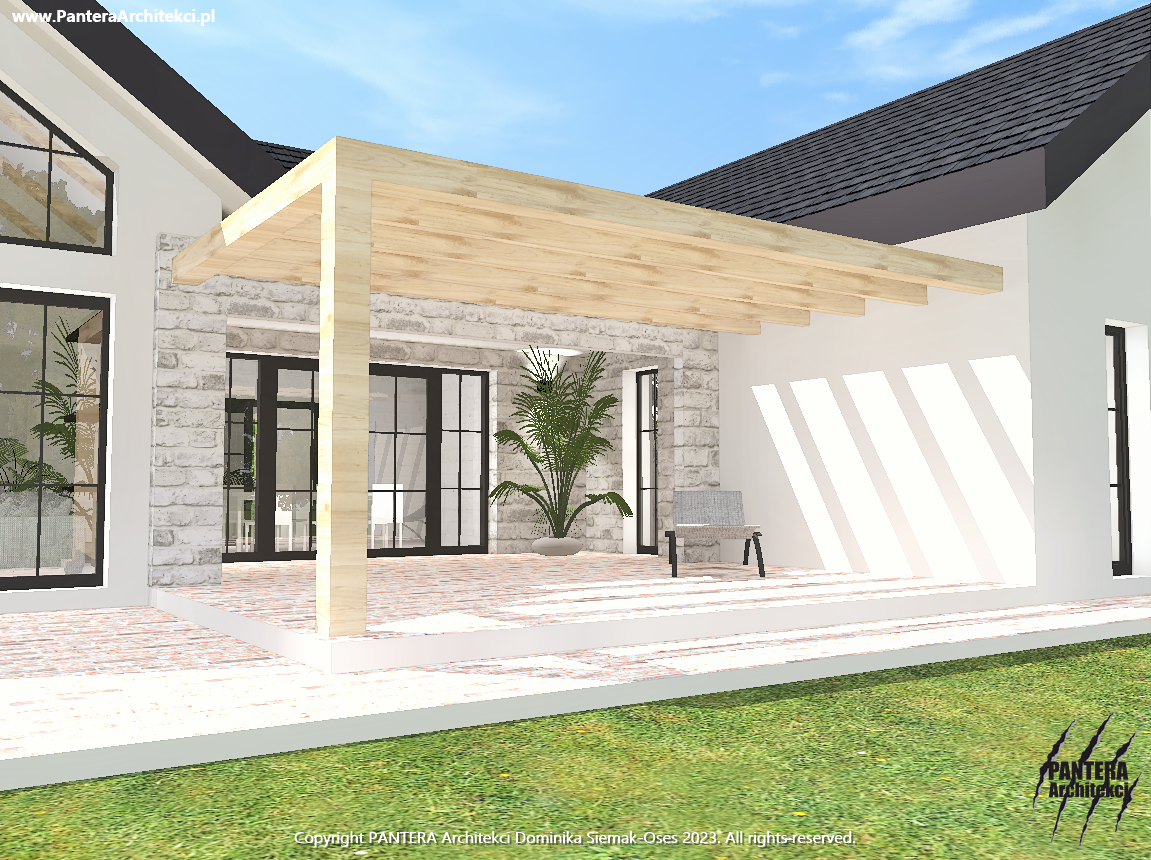 独栋家庭住宅外立面建筑变体设计丨PANTERA Architekci（多米尼卡·谢马克  奥塞斯）-10