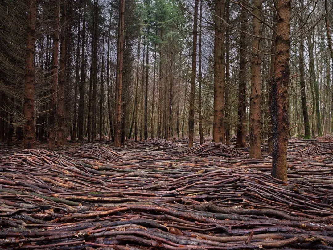 2021十大艺术装置丨多位艺术家-66