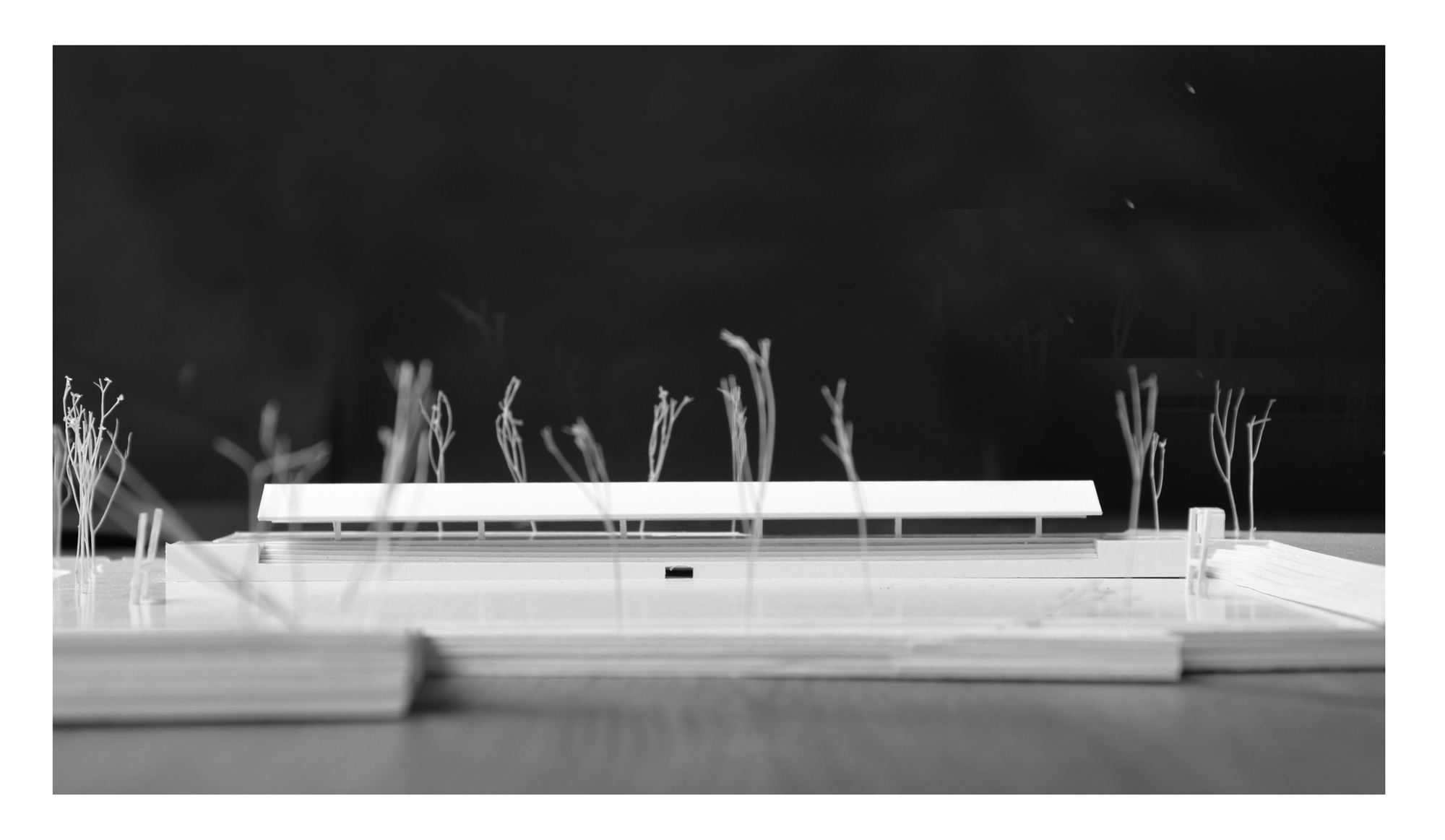 拉马尔德体育公园丨葡萄牙波尔图丨Domitianus Arquitectura-49