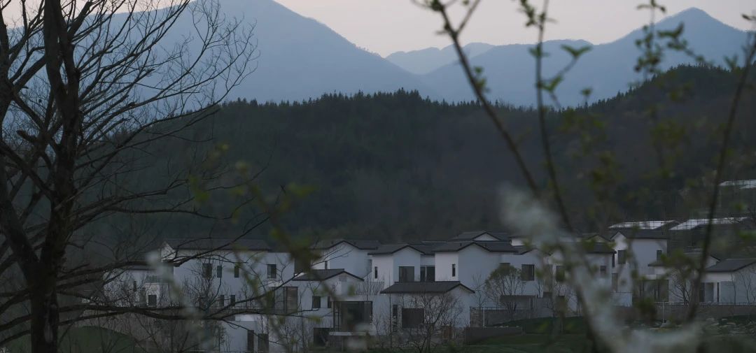 FORESIGHT｜ 科创型办公场景体验丨董世建筑-34