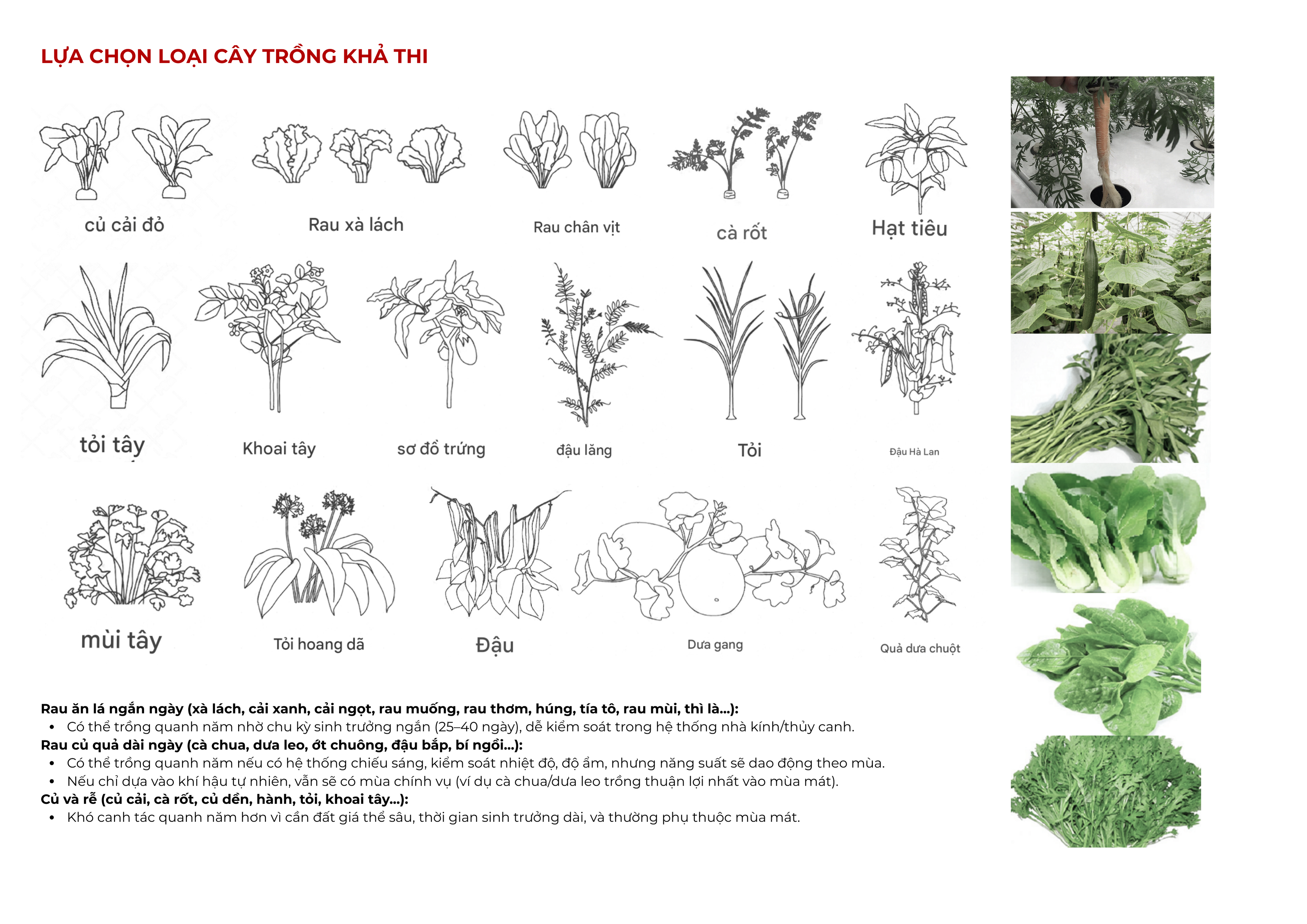 K10 PROJECT - AGRICULTURAL RESEARCH CENTER-21