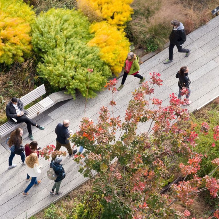 纽约高线公园（The High Line）丨美国曼哈顿-0