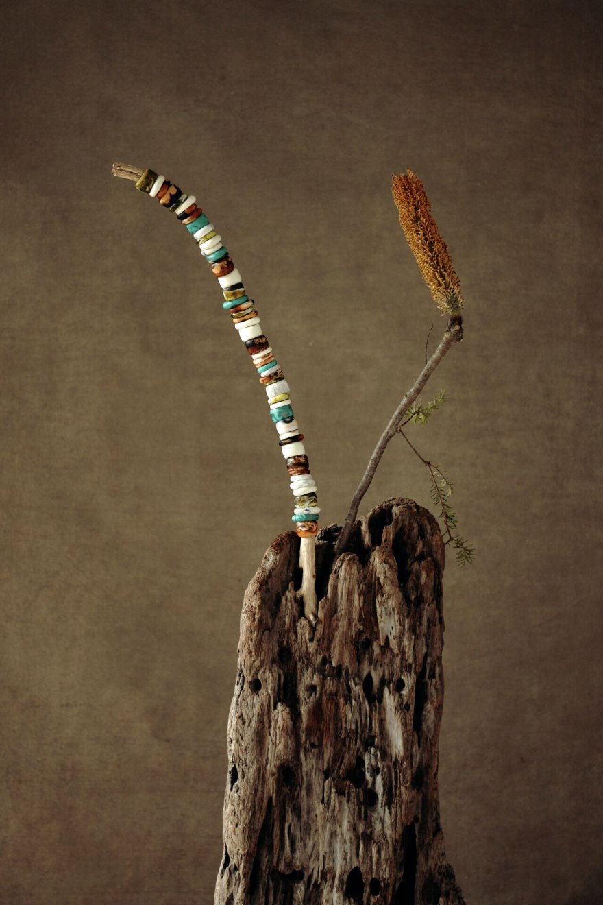 梦幻木林 · Dinosaur Designs 新系列-7