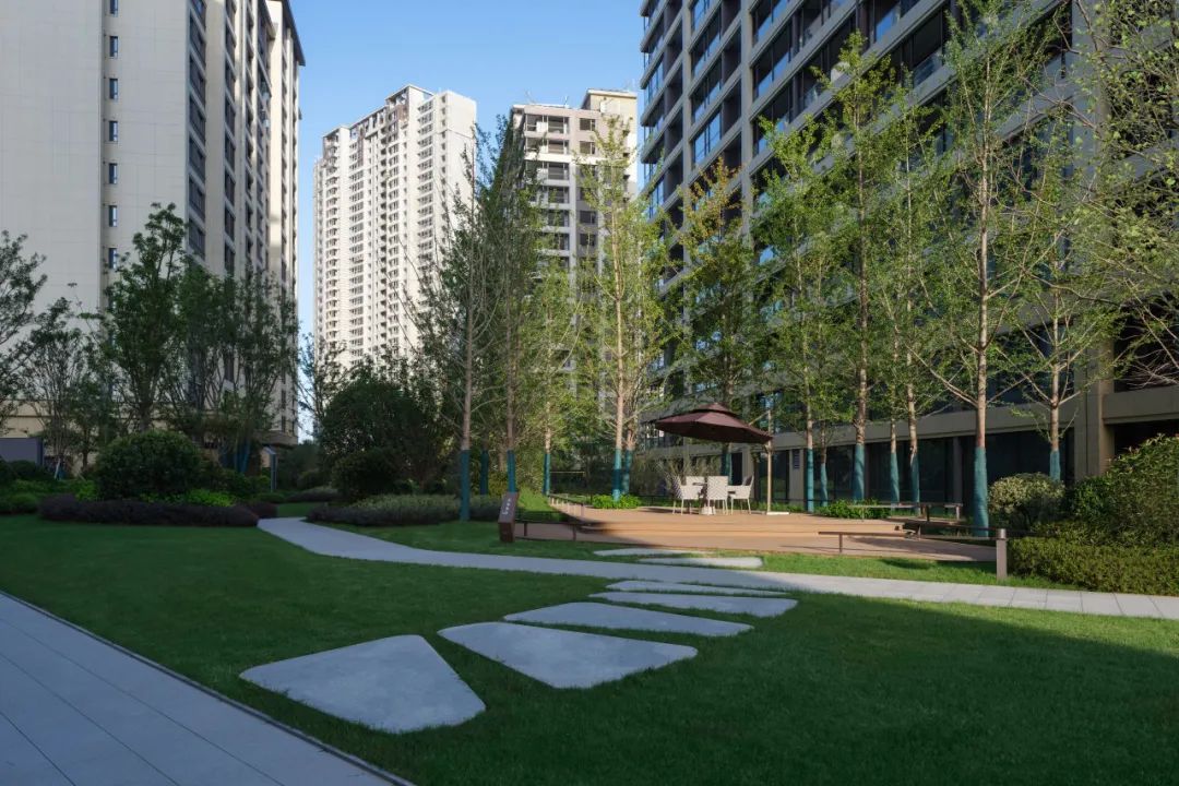 重新组合自然美 · 植物设计浅谈丨中国南京-22