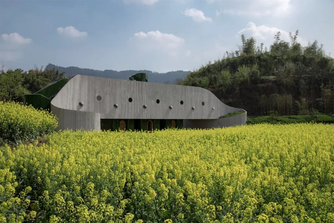 桥厕丨中国宜宾丨锋茂建筑-8