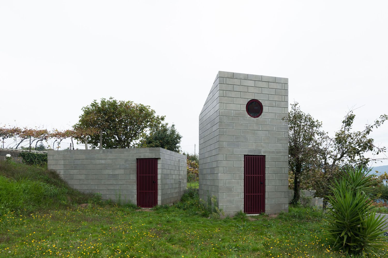 葡萄牙 Coura 简约度假屋丨Luís Peixoto-9