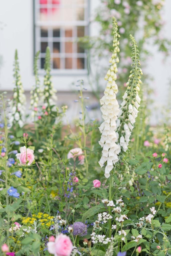 2018 Trailfinders南非葡萄酒庄园展示花园丨Jonathan Snow-4