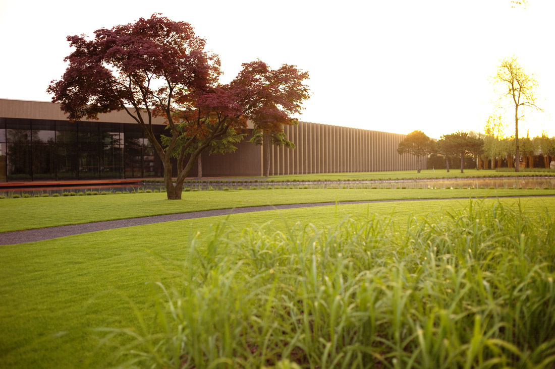 瑞士树博物馆丨Enzo Enea-13