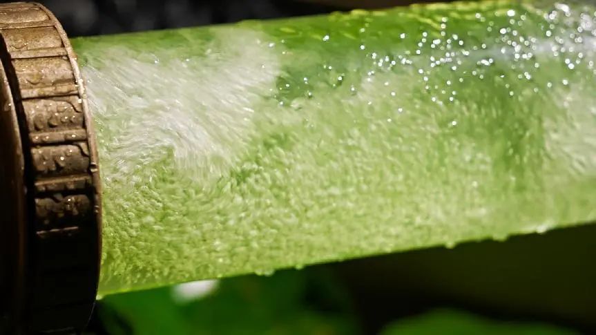 微藻实验花园：景观设计中的绿色新篇章-63