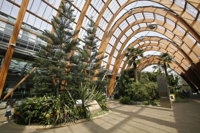 谢菲尔德冬季花园丨英国谢菲尔德丨Weddles-6