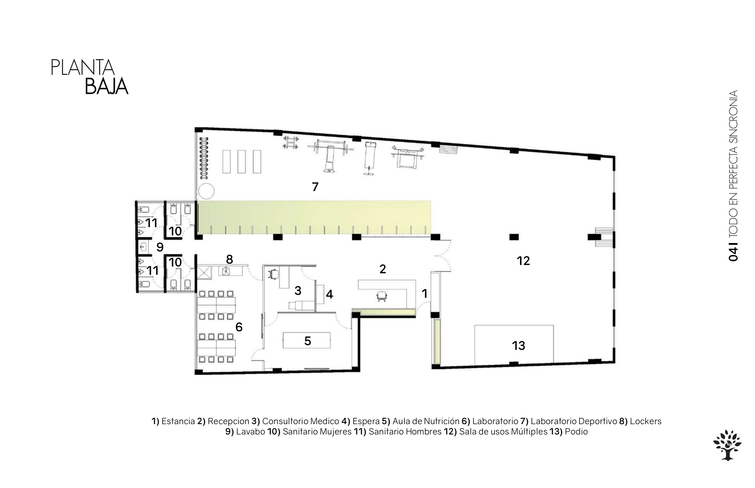 由于 Insuce 并非常见词汇，难以准确理解其含义，无法提供准确翻译 -3