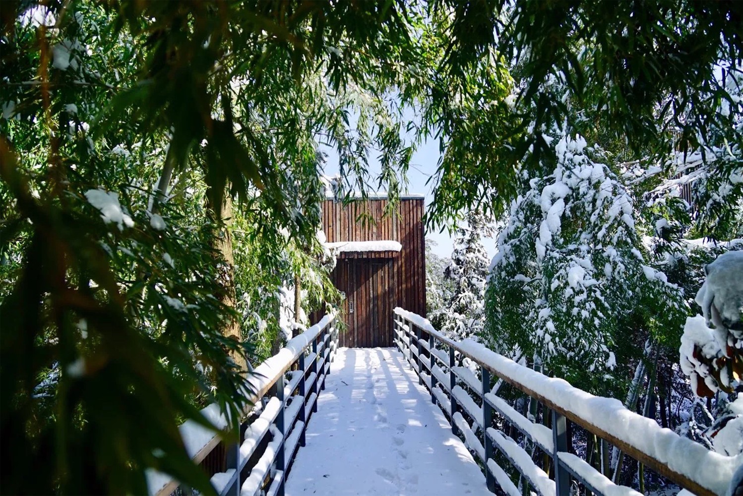 美岕山野温泉度假村 ： 荷兰AZ国际建筑事务所-2