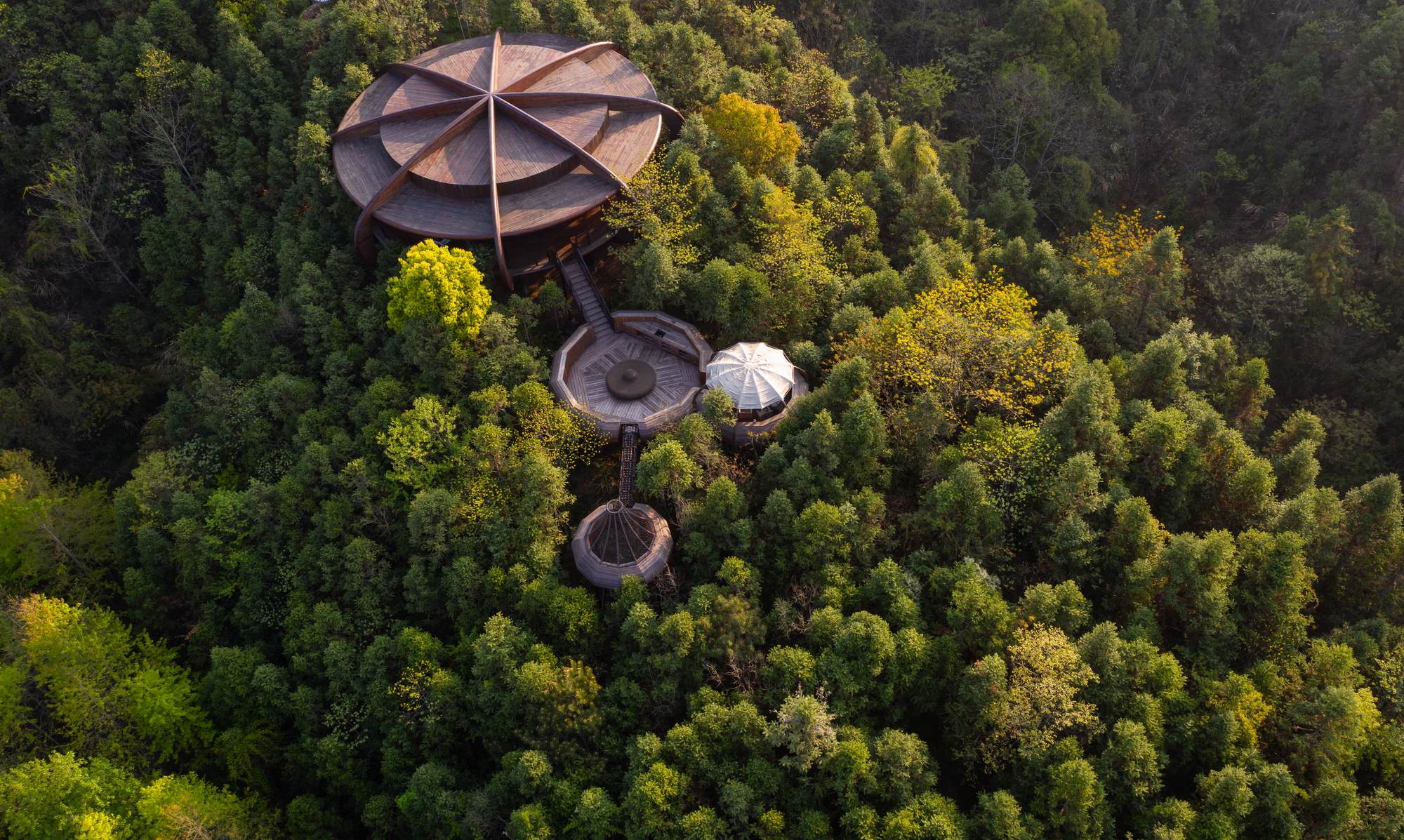 黄山树屋丨中国黄山-8